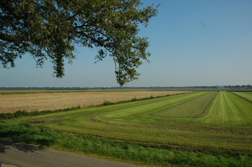 Huize Ouwervelden Bed and Breakfast Wouwsche Plantage Buitenkant foto